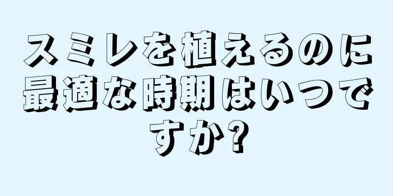 スミレを植えるのに最適な時期はいつですか?