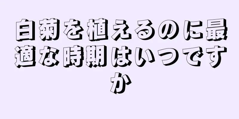 白菊を植えるのに最適な時期はいつですか