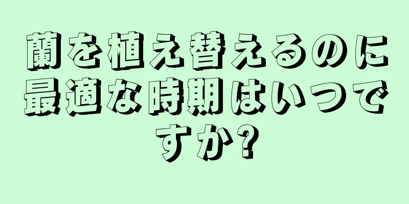 蘭を植え替えるのに最適な時期はいつですか?