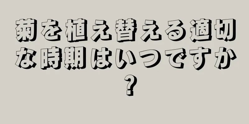 菊を植え替える適切な時期はいつですか？