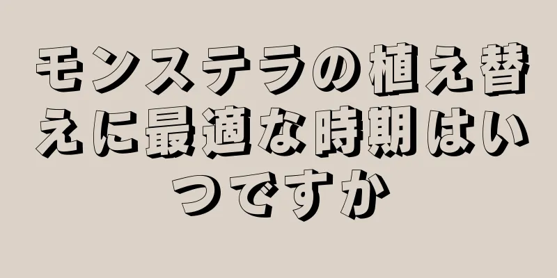 モンステラの植え替えに最適な時期はいつですか