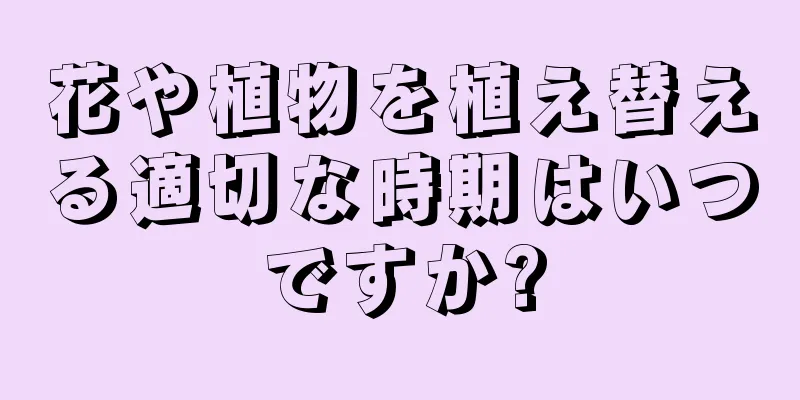 花や植物を植え替える適切な時期はいつですか?
