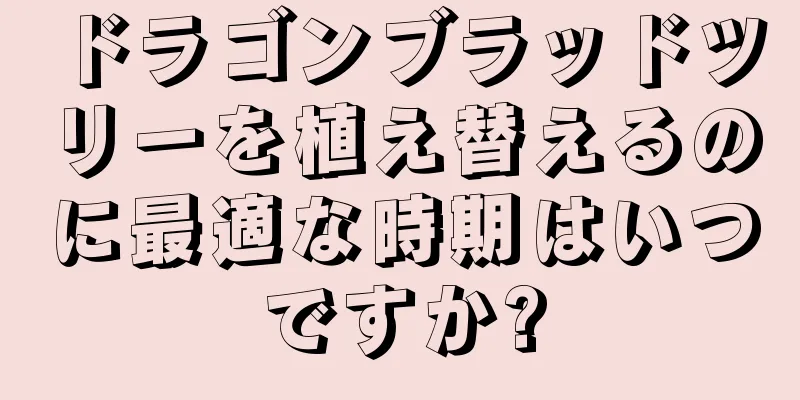 ドラゴンブラッドツリーを植え替えるのに最適な時期はいつですか?