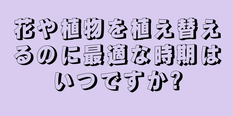 花や植物を植え替えるのに最適な時期はいつですか?