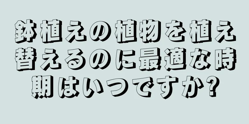 鉢植えの植物を植え替えるのに最適な時期はいつですか?