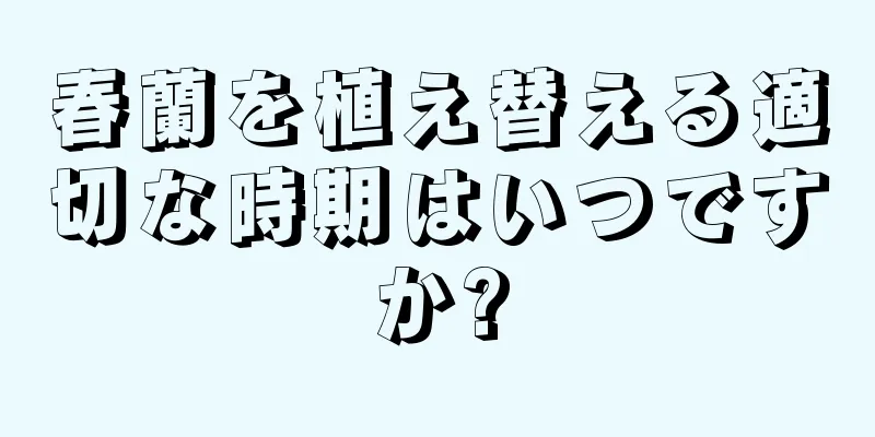 春蘭を植え替える適切な時期はいつですか?