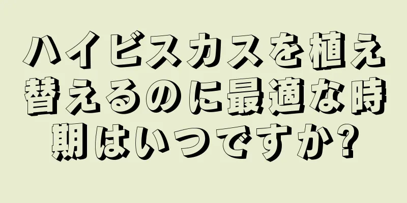 ハイビスカスを植え替えるのに最適な時期はいつですか?