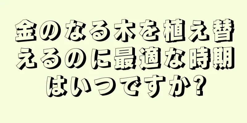 金のなる木を植え替えるのに最適な時期はいつですか?