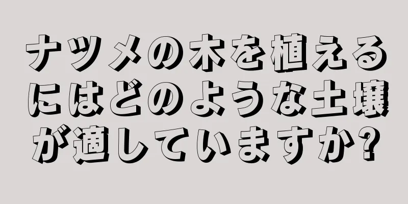 ナツメの木を植えるにはどのような土壌が適していますか?