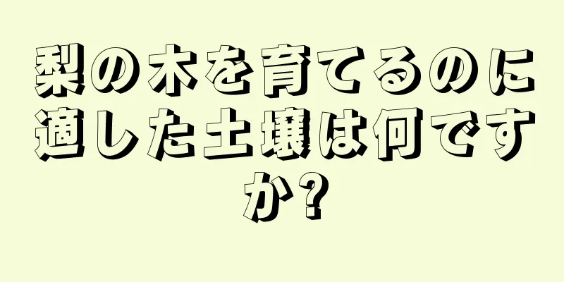 梨の木を育てるのに適した土壌は何ですか?