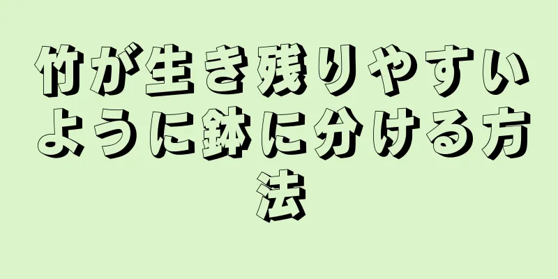 竹が生き残りやすいように鉢に分ける方法