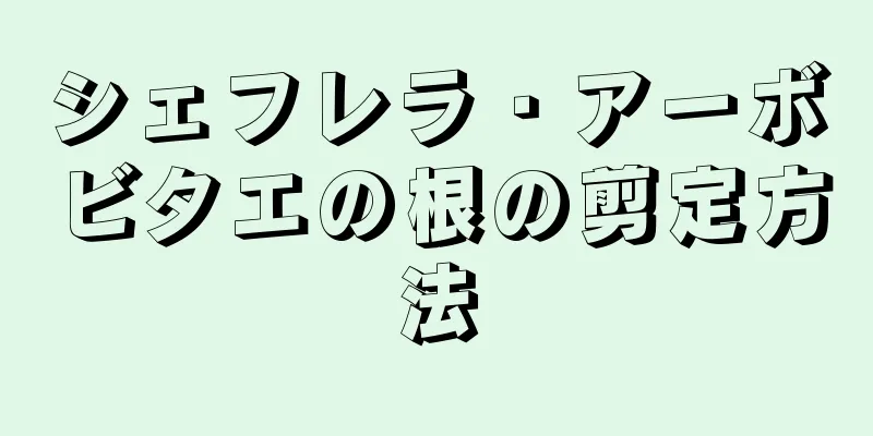 シェフレラ・アーボビタエの根の剪定方法