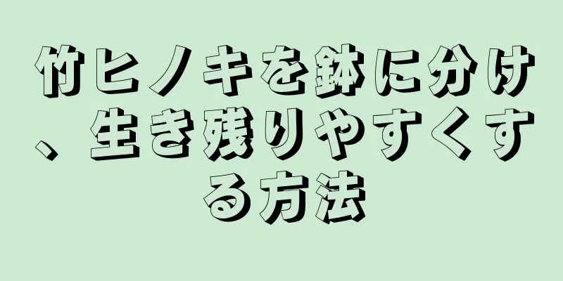 竹ヒノキを鉢に分け、生き残りやすくする方法