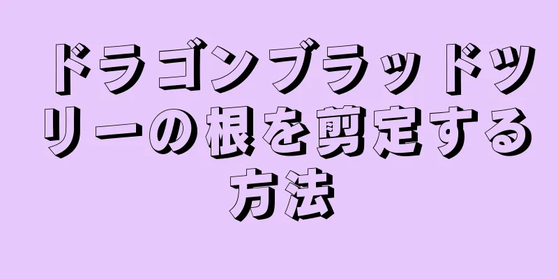 ドラゴンブラッドツリーの根を剪定する方法