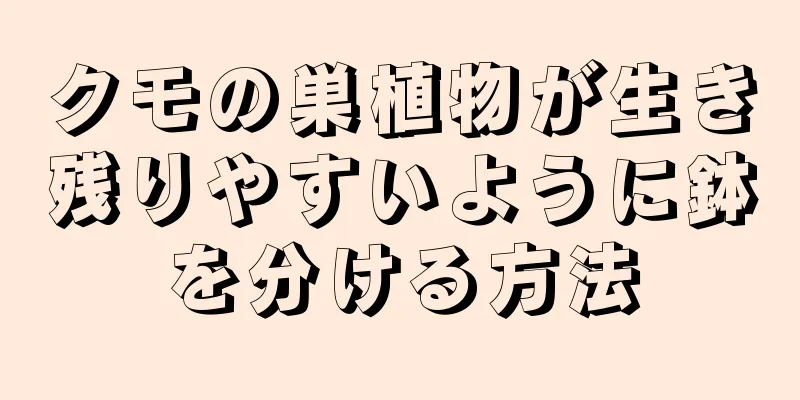 クモの巣植物が生き残りやすいように鉢を分ける方法