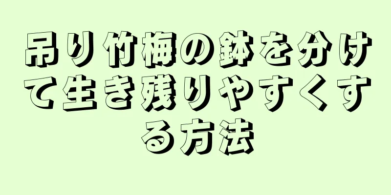 吊り竹梅の鉢を分けて生き残りやすくする方法