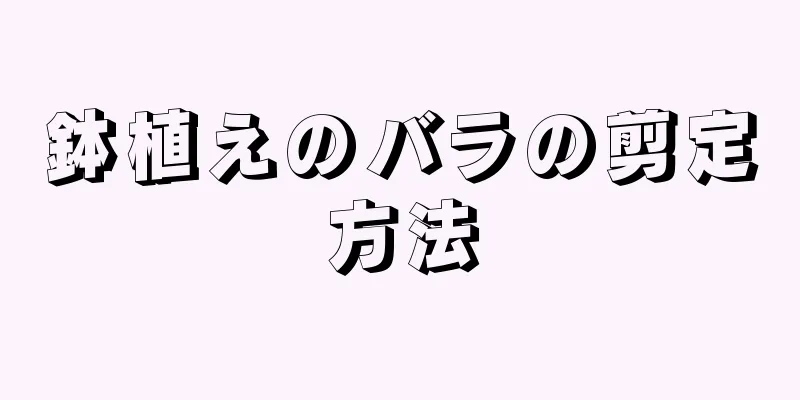 鉢植えのバラの剪定方法