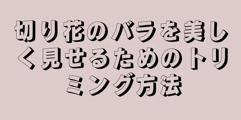 切り花のバラを美しく見せるためのトリミング方法