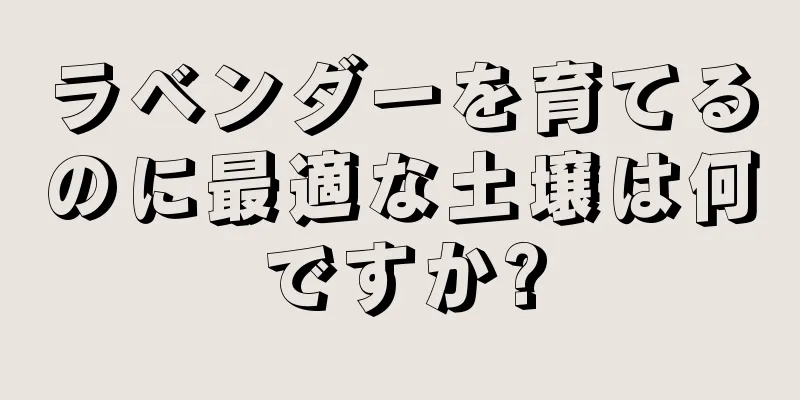 ラベンダーを育てるのに最適な土壌は何ですか?