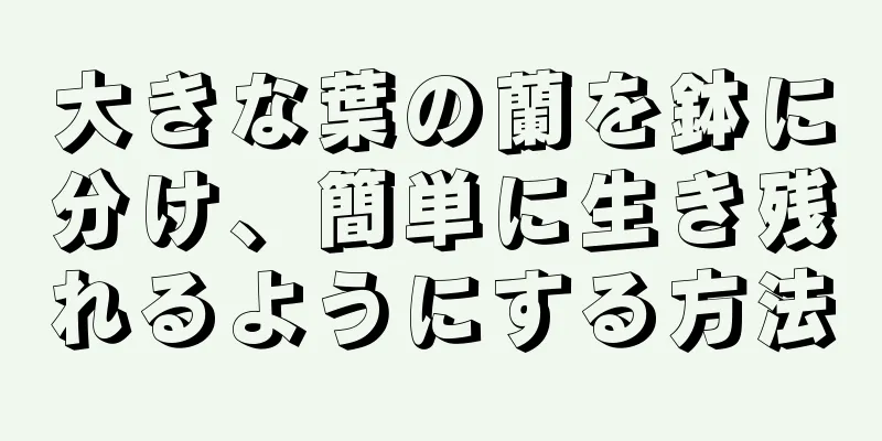 大きな葉の蘭を鉢に分け、簡単に生き残れるようにする方法