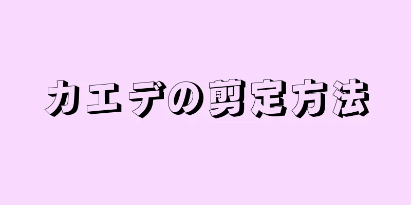 カエデの剪定方法