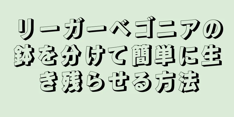 リーガーベゴニアの鉢を分けて簡単に生き残らせる方法