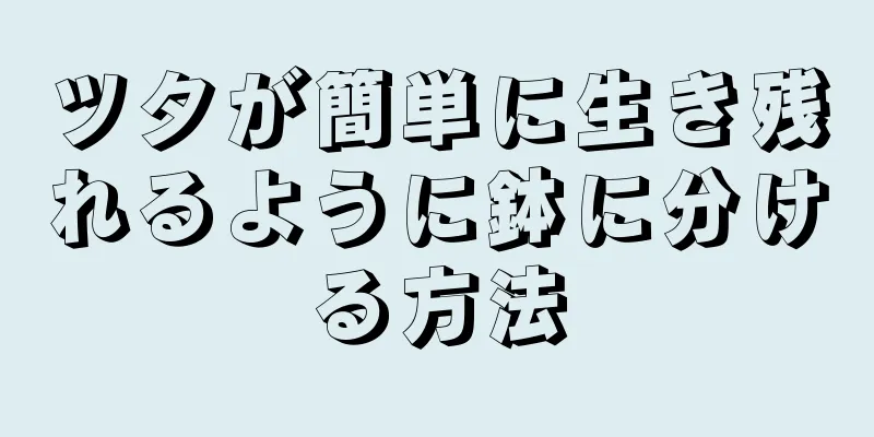 ツタが簡単に生き残れるように鉢に分ける方法