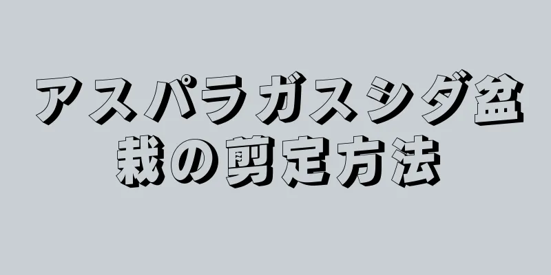 アスパラガスシダ盆栽の剪定方法