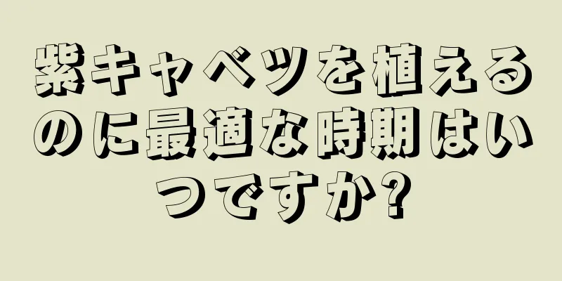 紫キャベツを植えるのに最適な時期はいつですか?