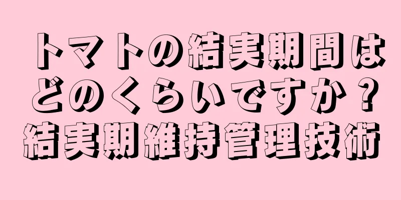 トマトの結実期間はどのくらいですか？結実期維持管理技術