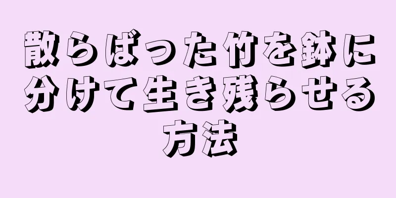 散らばった竹を鉢に分けて生き残らせる方法