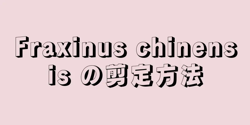 Fraxinus chinensis の剪定方法