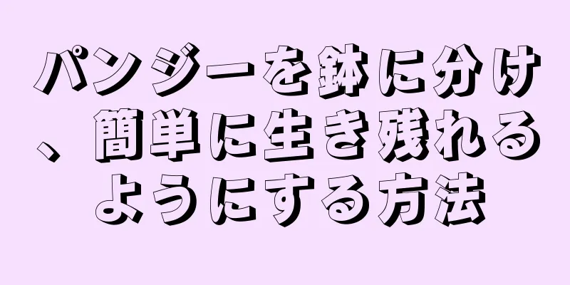 パンジーを鉢に分け、簡単に生き残れるようにする方法