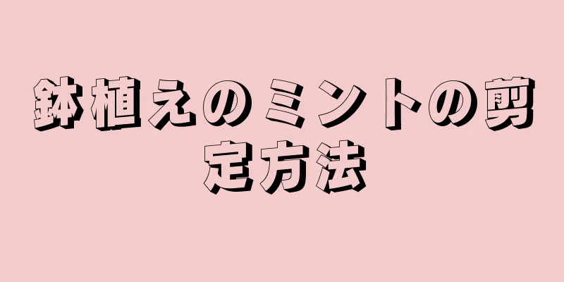 鉢植えのミントの剪定方法