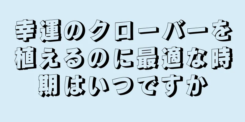 幸運のクローバーを植えるのに最適な時期はいつですか