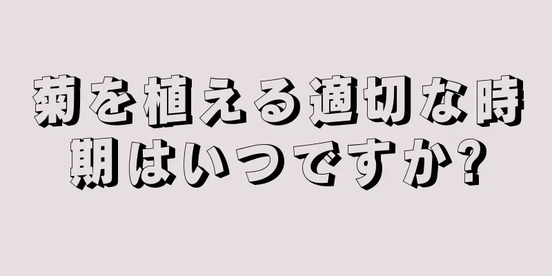 菊を植える適切な時期はいつですか?