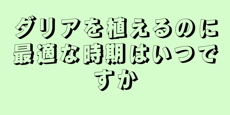 ダリアを植えるのに最適な時期はいつですか