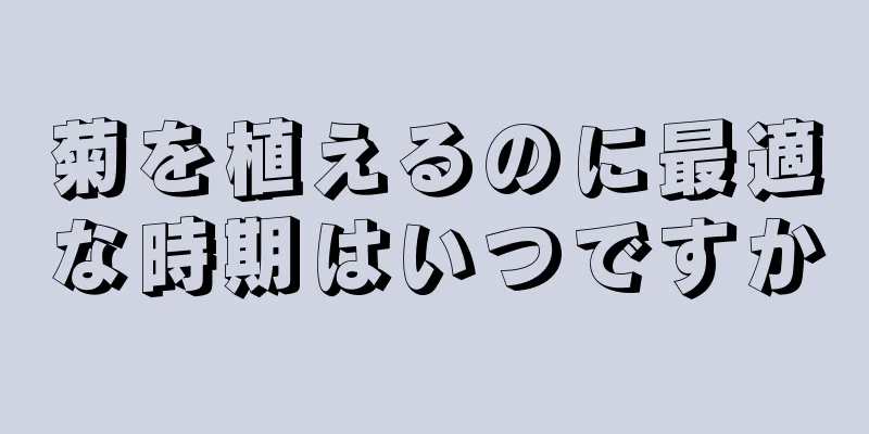 菊を植えるのに最適な時期はいつですか