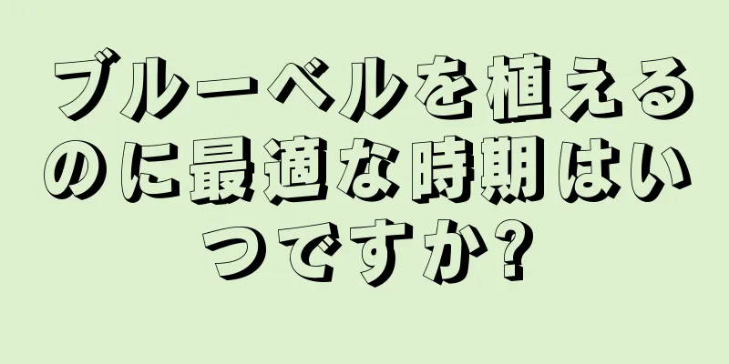 ブルーベルを植えるのに最適な時期はいつですか?