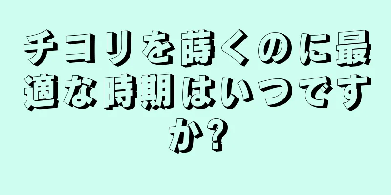 チコリを蒔くのに最適な時期はいつですか?