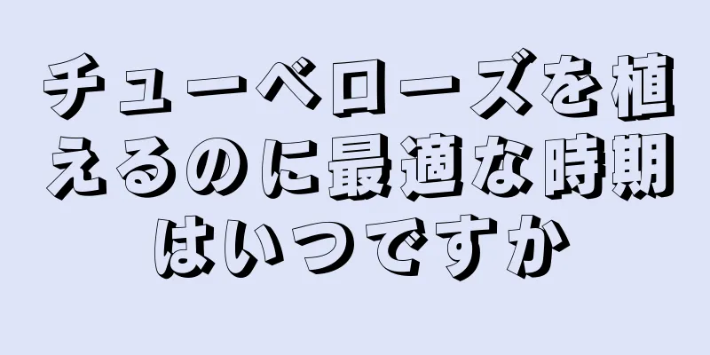 チューベローズを植えるのに最適な時期はいつですか