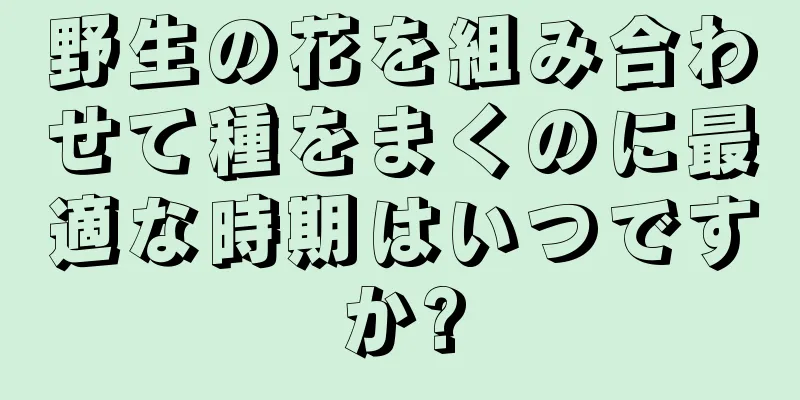 野生の花を組み合わせて種をまくのに最適な時期はいつですか?