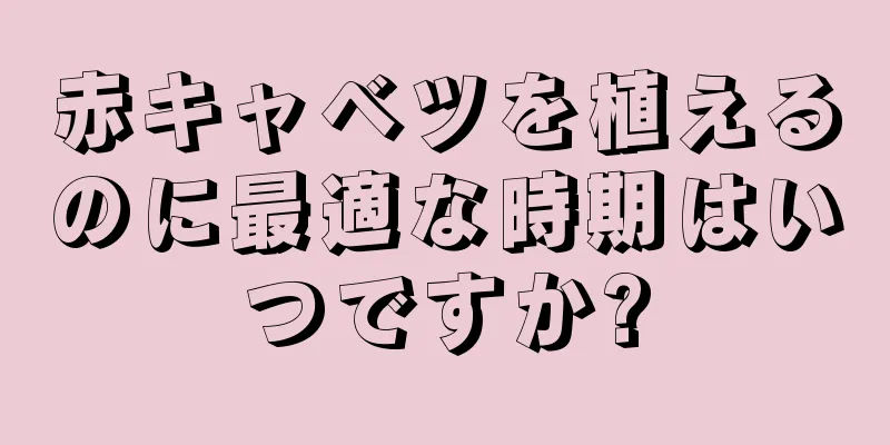 赤キャベツを植えるのに最適な時期はいつですか?