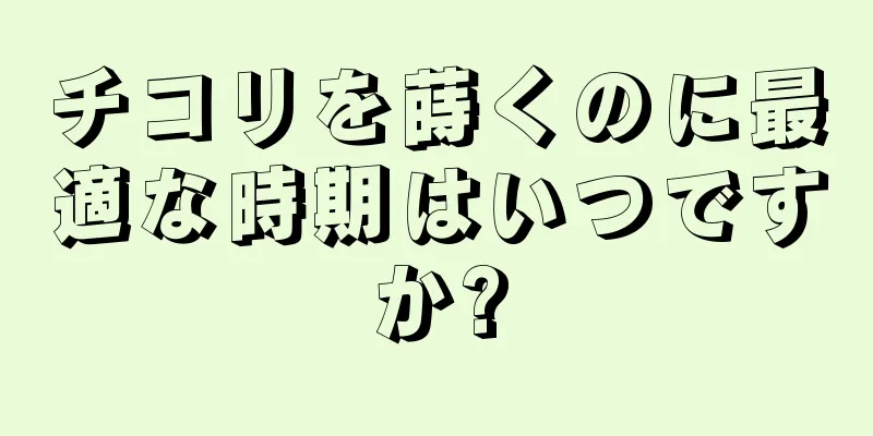 チコリを蒔くのに最適な時期はいつですか?