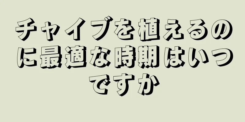 チャイブを植えるのに最適な時期はいつですか