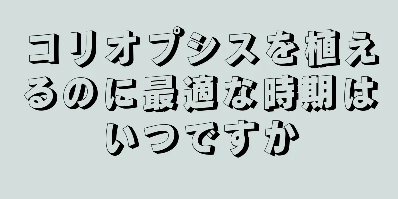 コリオプシスを植えるのに最適な時期はいつですか