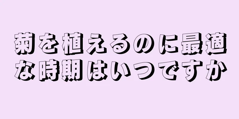 菊を植えるのに最適な時期はいつですか