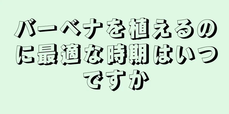 バーベナを植えるのに最適な時期はいつですか