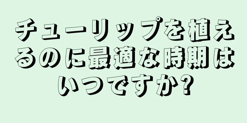 チューリップを植えるのに最適な時期はいつですか?