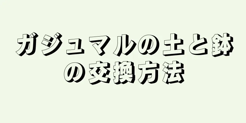 ガジュマルの土と鉢の交換方法